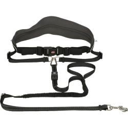 Ceinture ventrale avec laisse, large, néoprène, sang.: 70–120 cm/12 cm, laisse :