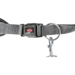 Ceinture ventrale avec laisse, doublée en néoprène, sang.: 70-130 cm/9 cm, laiss