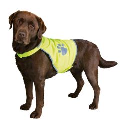 Gilet de sécurité, réfléchissant, M: 32 cm