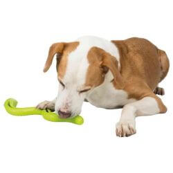 Queue friandises, en TPR, 42 cm, vert