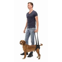 Harnais d'aide à la marche, L–XL: 75–85 cm, noir