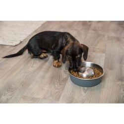 Slow Feeding Gamelle, en acier inox/plastique, 1 l/ø 21 cm