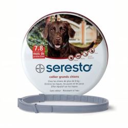 Collier Seresto Grand chien