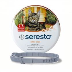 Collier Seresto Chat