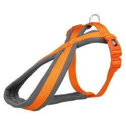 Premium harnais Touring, M: 45–80 cm/25 mm, papaye