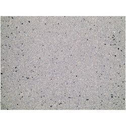 LITIERE CHAT BENTONITE CHARBON 12kg