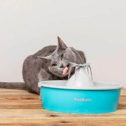 FONTAINE BUTTERFLY 1.5 L SANS BPA