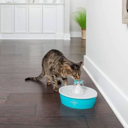 FONTAINE BUTTERFLY 1.5 L SANS BPA