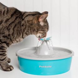 FONTAINE BUTTERFLY 1.5 L SANS BPA