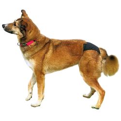 Slips de protection, XS: 20–25 cm, noir
