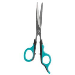 Ciseaux, en acier inoxydable/plastique, 16 cm