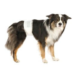 Couche pour chiens mâles, M–L: 46–60 cm, 12 Pcs
