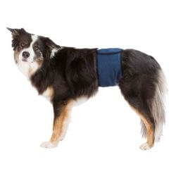 Couches pour chiens mâles, maille respirable, M: 45–55 cm, bleu foncé