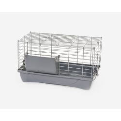 CAGE FELIX 60 CHROME