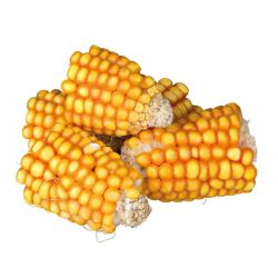Morceaux d'épis de maïs, 300 g