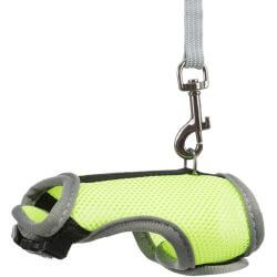Harnais doux avec laisse, lapins nains, 25–32 cm, 1,20 m