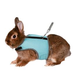 Harnais doux avec laisse, lapins nains, 25–32 cm, 1,20 m