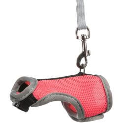 Harnais doux avec laisse, grand lapin, 25–40 cm, 1,20 m