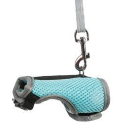 Harnais doux avec laisse, grand lapin, 25–40 cm, 1,20 m