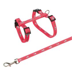 Harnais avec laisse, lapin, motif lapin-carottes, 25–44 cm/10 mm, 1,25 m