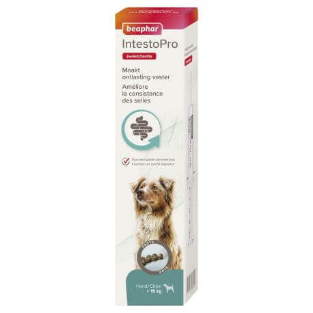 IntestoPro, pâte pour améliorer la consistance des selles pour chiens (sup. 15 kg) IntestoPro, pâte pour améliorer la consistance des selles pour chiens (sup. 15 kg)