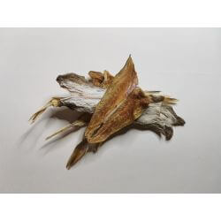 POISSON SECHE CHIEN 40gr