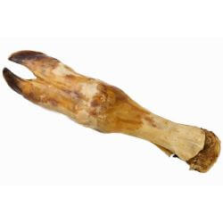 PIED DE VEAU SECHE