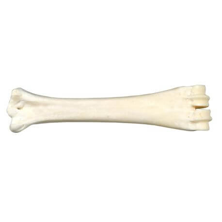 OS AU CALCIUM OS AU CALCIUM