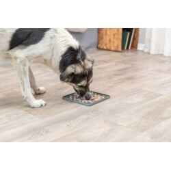Table de Lick'n'Snack, en silicone, 20 × 20 cm, gris foncé