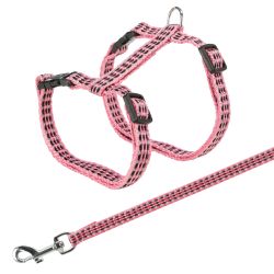 Harnais chat avec laisse, réfléch., 22–42 cm/10 mm, 1,20 m