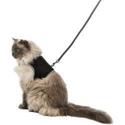 Harnais doux chats, avec laisse, XXL, 36–54 cm, 1,20 m, noir