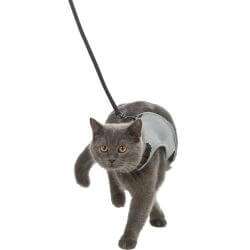 Harnais doux, chats, avec laisse, 24–42 cm, 1,20 m