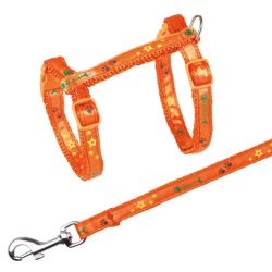 Harnais chat avec laisse, bande motif arête, 23–39 cm/10 mm, 1,20 m