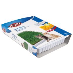 Bac d'herbe tendre, bol/env. 100 g