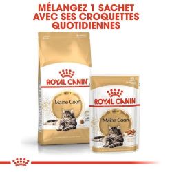 MAINE COON ADULT 12X85G