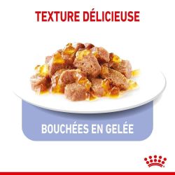 APPETITE CONTROL CARE GELEE 12X85G