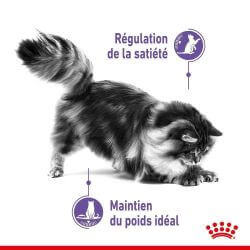 APPETITE CONTROL CARE GELEE 12X85G