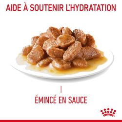 HAIRBALL SAUCE 12X85G