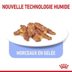 INDOOR GELEE 12X85G