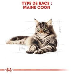 MAINE COON ADULT 2KG
