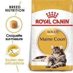 MAINE COON ADULT 2KG