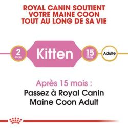 MAINE COON KITTEN 2KG