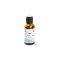 FLEUR BACH PROPRETE 30ML