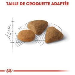 SAVOUR EXIGENT 2KG