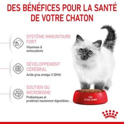 KITTEN 4KG