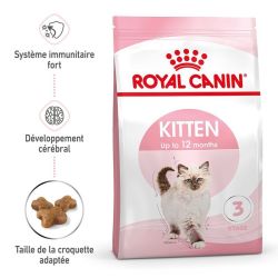 KITTEN 4KG