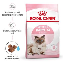 MOTHER&BABYCAT 4KG