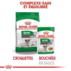MINI AGEING 12+ 12X85G