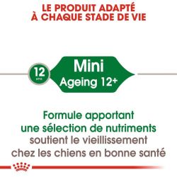 MINI AGEING 12+ 12X85G
