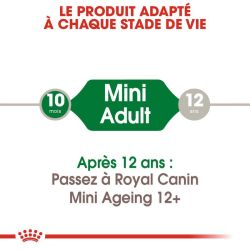 MINI ADULT 12X85G